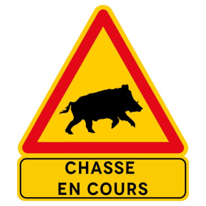 Chasse en cours