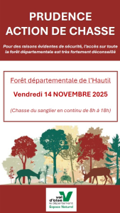Chasse sangliers - 14 novmbre 2025