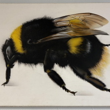 Alain SAGUEZ - Détails