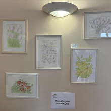 Marie-Christine DESPEROUX