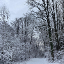 Massif de l'Hautil sous la neige par Anne