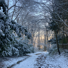 Chemin du massif de l'Hautil au couchant par Anne