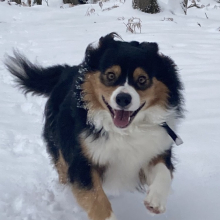 En voila un qui s'éclate dans la neige par Anne