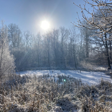 Massif de l'Hautil sous le soleil par Anne