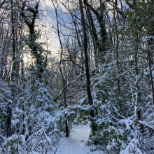 Chemin du massif de l'Hautil par Anne