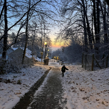 Sente vers l'école par Héloise C.