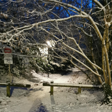 Sente vers l'école par Laure B.