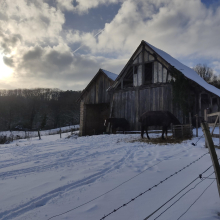 La grange de la ferme rose par Martine