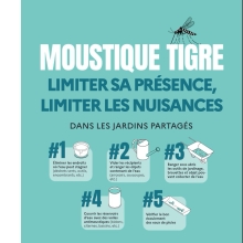prévention moustique tigre 