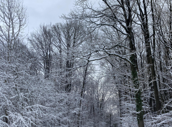 Massif de l'Hautil sous la neige par Anne