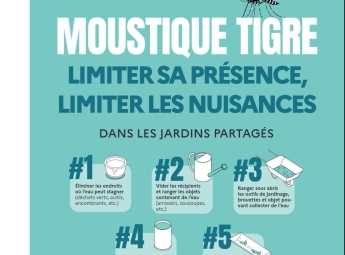 prévention moustique tigre 