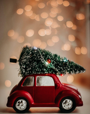 Sapin de Noel en route